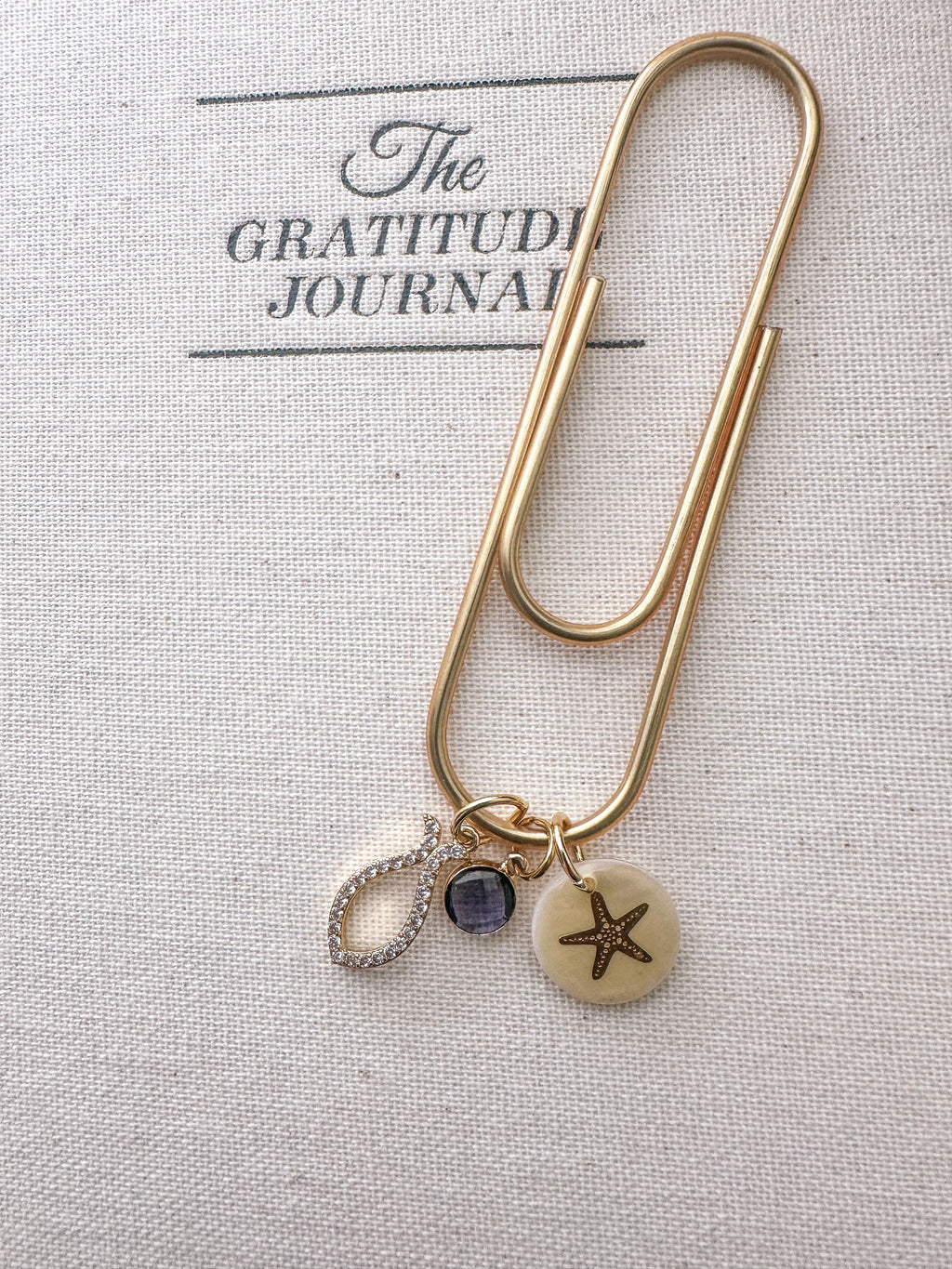 The Coastal Grace Journal Clip