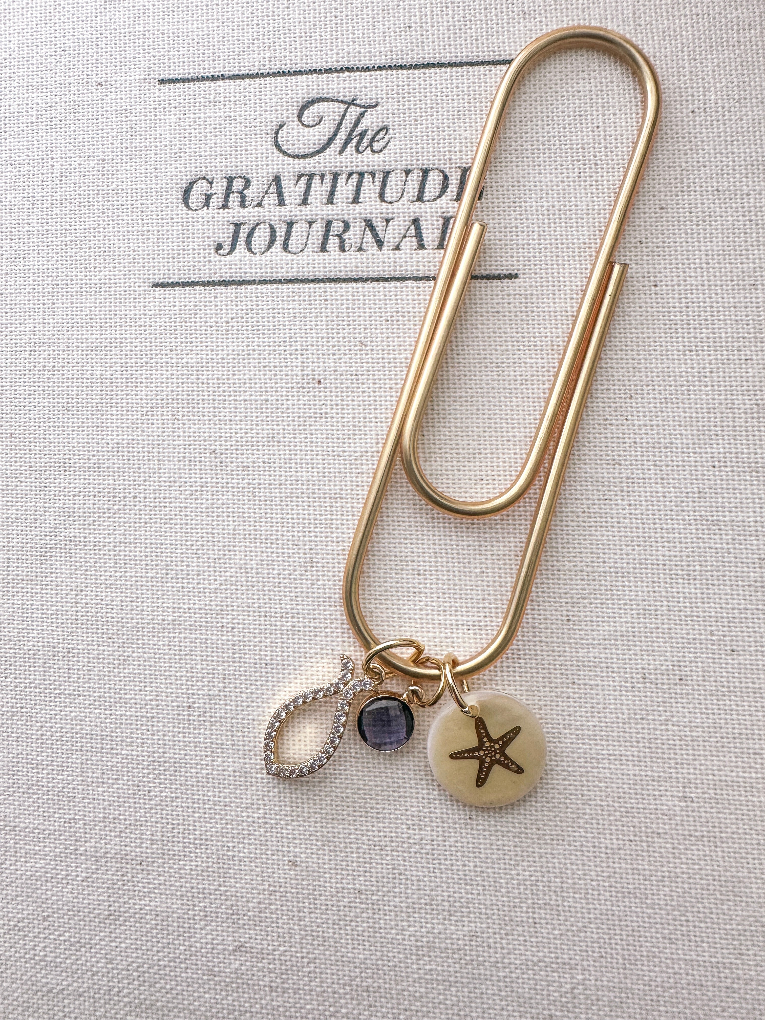 The Coastal Grace Journal Clip