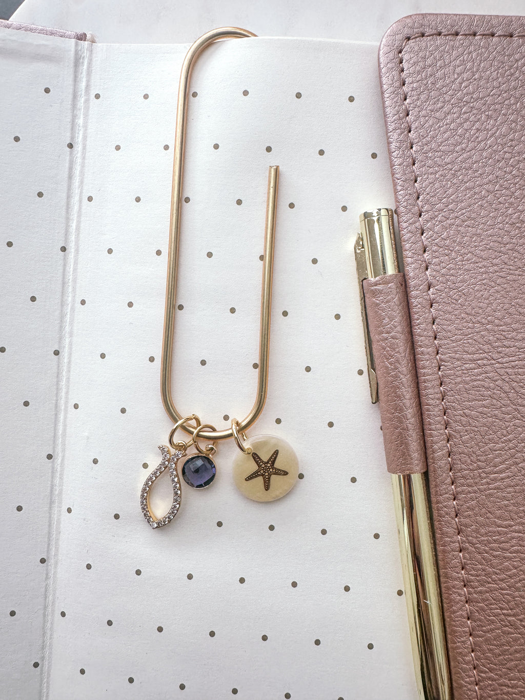 The Coastal Grace Journal Clip