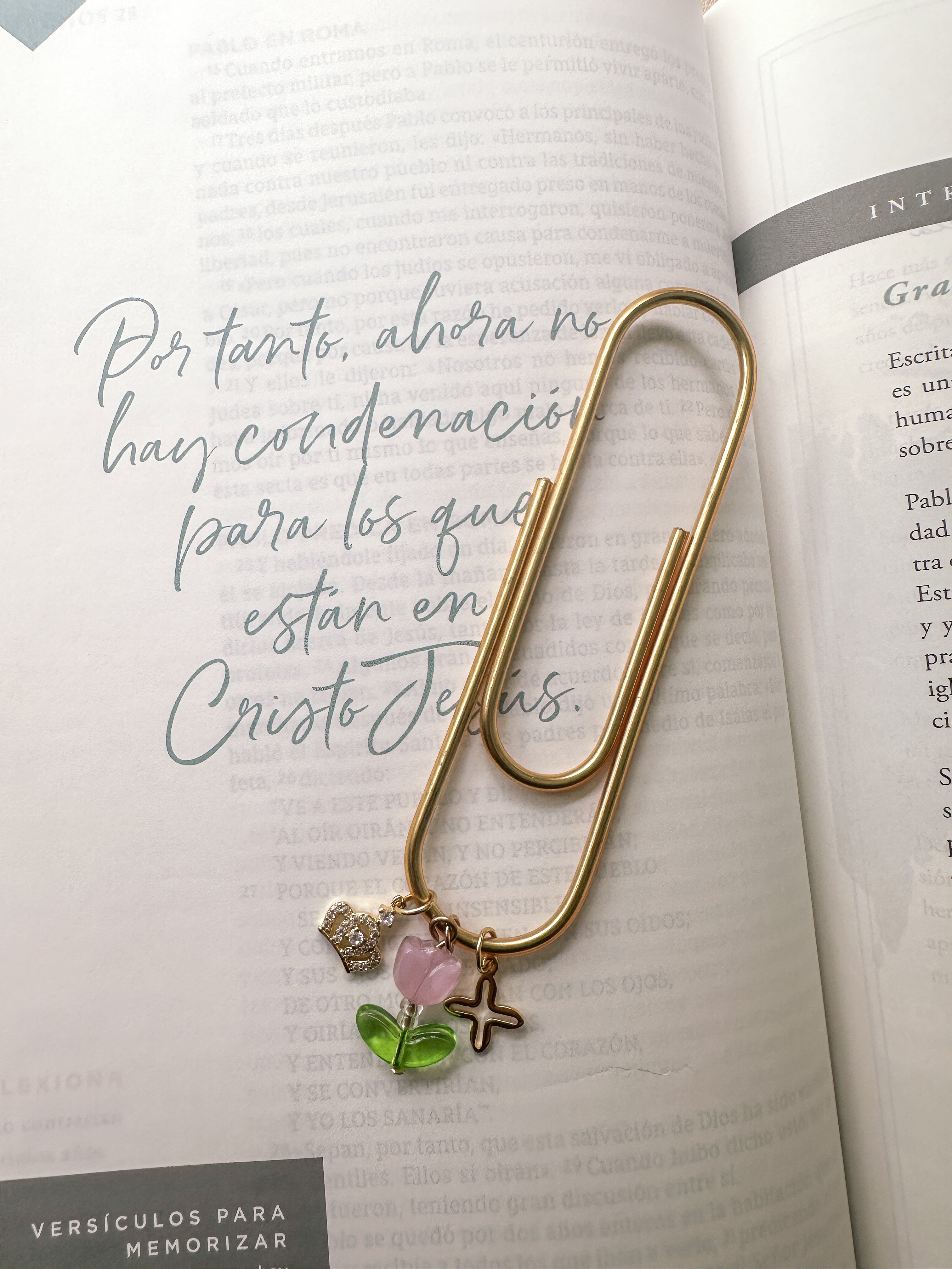 The glass tulip Clip